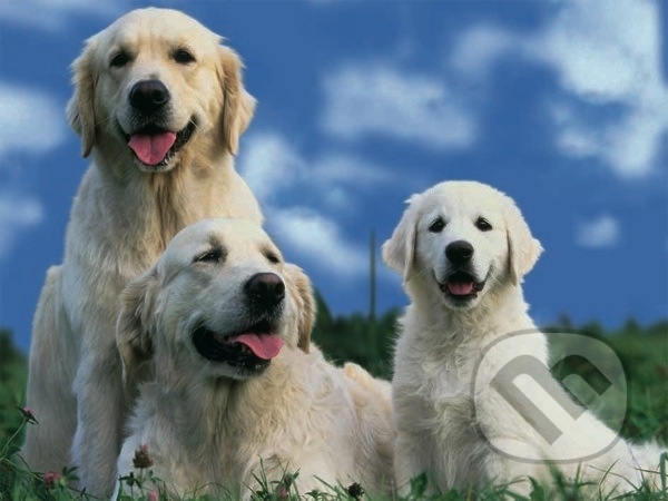 mamina ocino a havino-steniatko